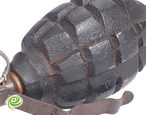 רימון רסס הושלך הלילה לבית פרטי