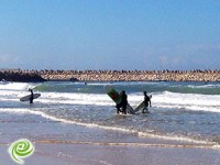 כתב ביטוח למשתתפי תחרות הגלישה ע״ש גיל שניאור