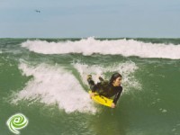 אליפות ישראל בגלישת בוגי