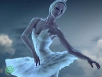 אגם הברבורים