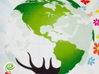 ירוקים חוגגים ארבע