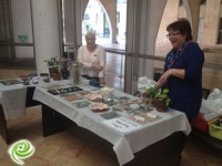 בוקר של יצירה ברחבת העירייה