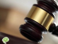 העירייה פעלה כחוק ובתיאום מלא