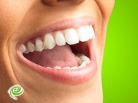 מדריך לצחצוח נכון ושמירה על בריאות הפה