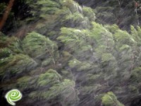 חורף טוב ורגוע