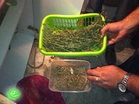 באו בגלל אלימות ומצאו שלל פלילי