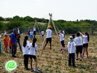 ירוק עולה וחוגג 13