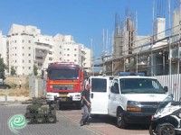 סוסי משטרה בבית הספר