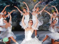 היפהפייה הנרדמת