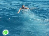 אלי מוזיקנסקי בלב ים...