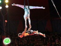 מקרקסים את אשדוד