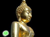 הצפון הבלתי צפוי של תאילנד