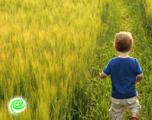 בת שנתיים שוטטה לבד באמצע הרחוב