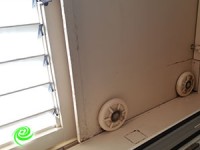 אשקלון תחילה