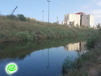 נחל לכיש... זורם