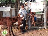 תושבים עם לב