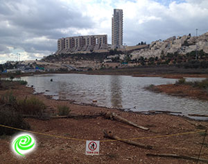 טבע עירוני - מושג חדש בתכנון