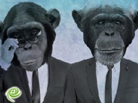 משינה בחורף