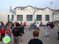 סיכוי גבוה שבי״ס אלונים ייסגר בסוף השנה