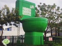 פעילי סביבה באשדוד: די למגבונים!