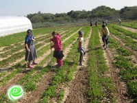 מתחברים אל האדמה