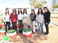 חיטה וחסה בערוגות הגינה