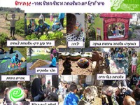 סלט בחמישה צבעים