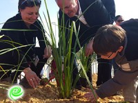 נוטעים עצים - נוטעים חיים