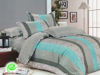 רשת "זברה" משיקה את "זברה הום"