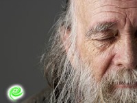 הפסח הזה כולם חוגגים