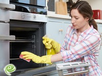 אביב הגיע - פסח כשר ושיהיה גם בטוח