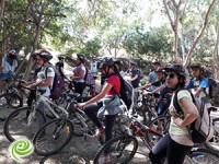 בדרכם של מנהיגים