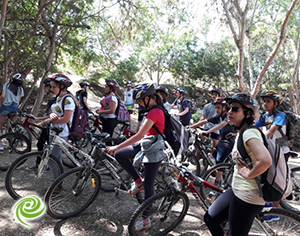 בדרכם של מנהיגים