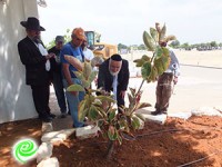 לקראת יום הזכרון: גינות נוי חדשים ושיפוצים בבית העלמין