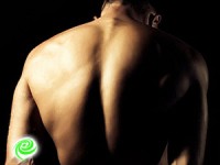 נתפס המתערטל הציבורי