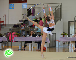 האליפות הבינלאומית הפתוחה - בהתעמלות אמנותית