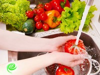 צריכת וקניית מזון קפוא, טרי או משומר