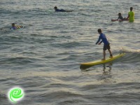 יום הגלישה הבינלאומי באשדוד