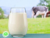שבועות 2016: כ-60% מתושבי הדרום יחסכו השנה במוצרי חלב