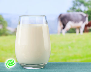 שבועות 2016: כ-60% מתושבי הדרום יחסכו השנה במוצרי חלב