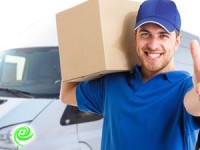 חברת לוגיסטיקה והפצה – מידע והמלצות