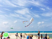 שישי בטבע - הצלחה לחגיגת הטבע