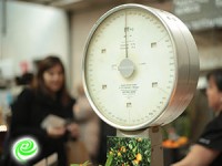 המדריך המלא לבחירת משקלים