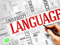 איך הפכה האנגלית לשפה הגלובלית?