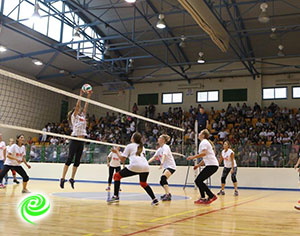 ליגת כדורשת יוצאת לדרך... כח נשי במלוא עוצמתו