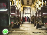 איך בוחרים חברת הסעות בדרום?