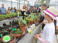 "מפזרים זרעים של מדע"