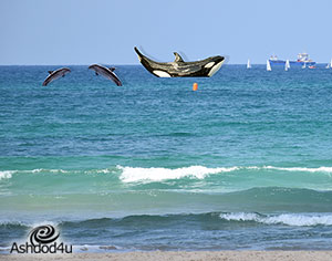 פרוייקטים מחוץ לקופסא