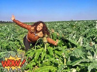 אחכה לך בשדות...