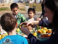 יום בהיר של שמש בפארק הנגיש